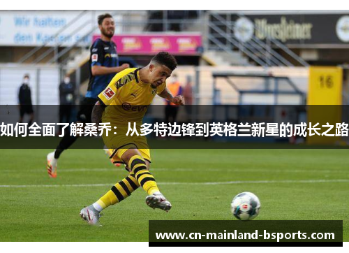 如何全面了解桑乔：从多特边锋到英格兰新星的成长之路