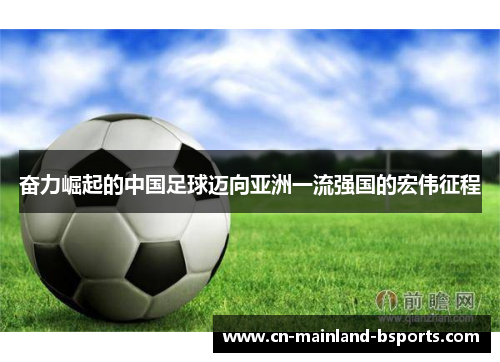 奋力崛起的中国足球迈向亚洲一流强国的宏伟征程