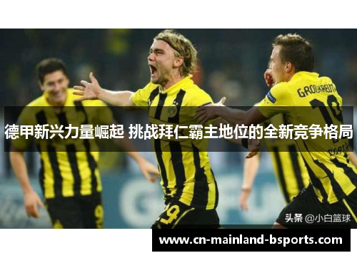 德甲新兴力量崛起 挑战拜仁霸主地位的全新竞争格局