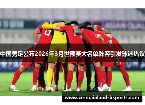 中国男足公布2026年3月世预赛大名单阵容引发球迷热议